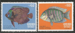 FI-47 Sri Lanka Poisson Fish Fisch Pesce Pescado Peixe Vis MNH ** Neuf SC - Vissen