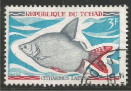 FI-49 Tchad Poisson Fish Fisch Pesce Pescado Peixe Vis - Vissen