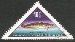 FI-42 Mongolie Poisson Fish Fisch Pesce Pescado Peixe Vis - Fische