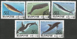 FI-32a Corée Baleine Dauphin Whale Dolphin Wal Delphin Balena Delfino - Dolphins