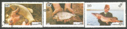 FI-22 Poisson Lac Lake River Fish Fisch Pesce Pescado Peixe Vis - Food