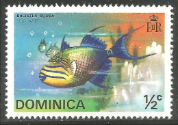 FI-12 Dominica Poisson Fish Fisch Pesce Pescado Peixe Vis MH * Neuf CH - Vissen