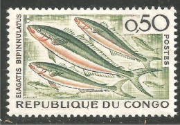 FI-3b Congo Poisson Fish Fisch Pesce Pescado Peixe Vis MH * Neuf CH - Alimentación