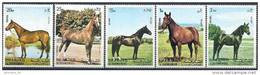 1972 SHARJAH 1006-10** Série Complète Chevaux - Schardscha