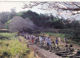 LAOS. PAKSE (ENVOYE DE). " CHAMPASAK.WAT PHOU WORLD HERITAGE ". ANNEE 2004 + TEXTE + TIMBRES.. FORMAT 17 X 12 Cm - Laos