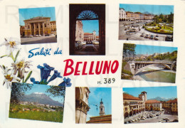 CARTOLINA  C14 BELLUNO M.389,VENETO-SALUTI DA BELLUNO-STORIA,MEMORIA,CULTURA,RELIGIONE,BELLA ITALIA,VIAGGIATA 1972 - Belluno