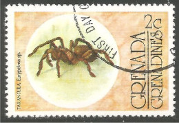 IN-82a Grenada Insecte Araignée Spider Ragno Araña Aranha Spin - Other & Unclassified