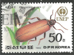 IN-83b Grenada Insecte Insect Insekt - Otros & Sin Clasificación