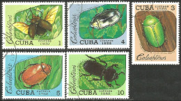 IN-70 Cuba Insecte Scarabée Beetle Skarabäus Scarabeo Escarabajo - Other & Unclassified