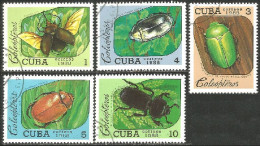 IN-70 Cuba Insecte Scarabée Beetle Skarabäus Scarabeo Escarabajo - Autres & Non Classés