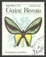 IN-55 Guinée Papillon Butterfly Butterflies Farfalla Mariposa Schmetterling Vlinder - Papillons