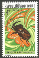 IN-50 Tchad Insecte Scarabée Beetle Skarabäus Scarabeo Escarabajo - Otros & Sin Clasificación