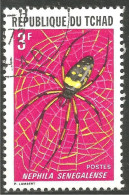 IN-49 Tchad Insecte Araignée Spider Ragno Araña Aranha Spin - Arañas