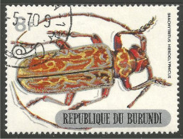 IN-46 Burundi Insecte Insect Insekt - Altri & Non Classificati