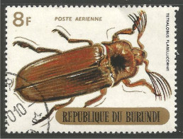 IN-45 Burundi Insecte Insect Insekt - Andere & Zonder Classificatie