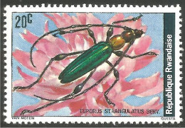 IN-37a Rwanda Insecte Insect Insekt MNH ** Neuf SC - Sonstige & Ohne Zuordnung