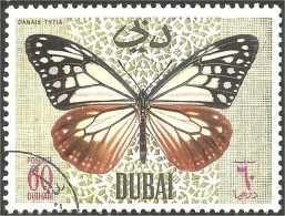 IN-9 Dubai Papillon Butterfly Butterflies Farfalla Mariposa Schmetterling Vlinder - Papillons