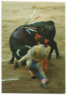 PASE DE CASTIGO. RODILLA EN TIERRA.-  CORRIDA DE TOROS.- ESPAÑA - Stiere