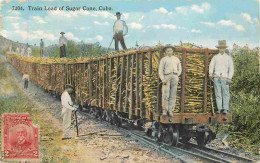 Cuba - Train Load Of Sugar - Train Chargé De Canne à Sucre - Animée - Colorisée - Correspondance - CPA - Voyagée En 1914 - Kuba