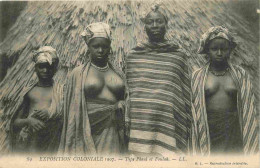 94 - Nogent Sur Marne - Exposition Coloniale De 1907 - Type Pheul Et Foulah - Animée - Femmes Aux Seins Nus - CPA - Obli - Nogent Sur Marne