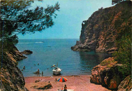 Espagne - Espana - Cataluna - Costa Brava - Palamos - Cala D'els Corps - Crique Des Corps - CPM - Voir Scans Recto-Verso - Gerona