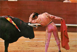 Corrida - Desplante - Posture Oblique - Carte Neuve - CPM - Voir Scans Recto-Verso - Corrida