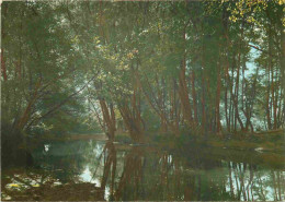 58 - Tannay - Les Bords De L'Yonne Au Moulin Les Trois Quartes - CPM - Voir Scans Recto-Verso - Tannay