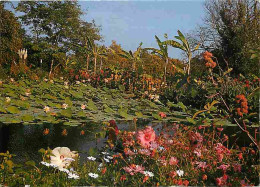 85 - Saint Cyr En Talmondais - Floralies De La Court D'Aron - Floraison Lotus Et Hibiscus - Fleurs - CPM - Voir Scans Re - Otros & Sin Clasificación