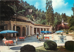 61 - Bagnoles De L'Orne - Pavillon Des Fleurs - CPM - Voir Scans Recto-Verso - Bagnoles De L'Orne