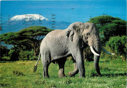 Animaux - Eléphants - Kenya - Eléphant With Mt Kilimanjaro - Afrique Noire - Voir Timbre - CPM - Voir Scans Recto-Verso - Elefantes