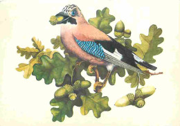 Animaux - Oiseaux - De Vlaamse Gaai - Geai - Dessin - CPM - Voir Scans Recto-Verso - Birds