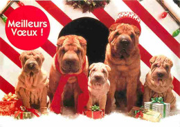 Animaux - Chiens - Shar Pei - CPM - Voir Scans Recto-Verso - Dogs