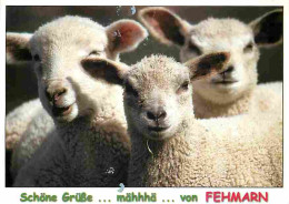 Animaux - Moutons - Agneaux - CPM - Voir Scans Recto-Verso - Otros & Sin Clasificación