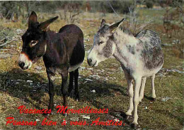 Animaux - Anes - Carte Humoristique - Carte Neuve - CPM - Voir Scans Recto-Verso - Donkeys