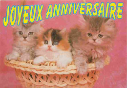 Animaux - Chats - Chatons - Carte Anniversaire - Carte Neuve - CPM - Voir Scans Recto-Verso - Cats