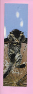 MP - CHAT - Aquarupella - Bookmarks