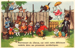 Chat - Cpa Illustrateur - Chats Humanisés Au Cirque , équilibriste , Monsieur Loyal - Circus  - Katze Cat - Cats