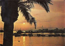 *CPM - Reflet Dans Le Port Au Soleil Couchant - Lumière Et Beauté De La Cote D'azur - Contre La Lumière