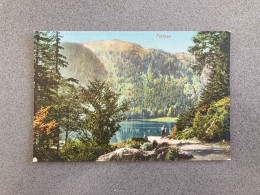 Feldberg, Schwarzwald Carte Postale Postcard - Titisee-Neustadt