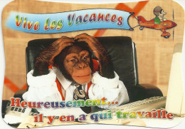*CPM - Vive Les Vacances, Heureusement Il Y En A Qui Travaille - Humour