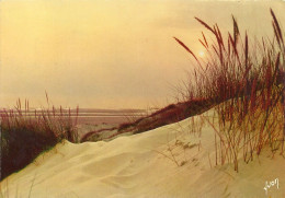 *CPM - Coucher De Soleil Dans Les Dunes - Contraluz