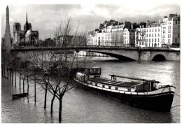 PENICHE Péniche  Photo Jean MOUNICQ Le Pont Des Tournelles  (   21617 ) - Binnenschepen