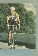 JEAN RENE BERNAUDEAU - CARTE  PUBLICITAIRE GRAND FORMAT CP  (ref 2346) - Cyclisme