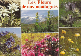 *CPM - Les Fleurs De Nos Montagnes - Edelweiss, Chardon Bleu, Gentiane Acaule, Rhododendron, Trolles - Other & Unclassified