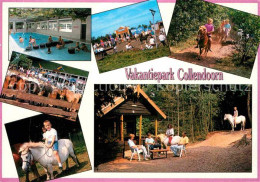 72828697 Hardenberg Niederlande Vakantiepark Collendoorn Pony  Hardenberg Nieder - Other & Unclassified