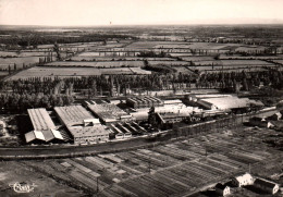 Digoin - Vue Aérienne Sur La Faïencerie - Poterie Briqueterie Usine - Digoin