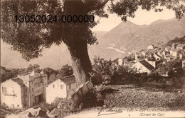 CAP CORSE. Cpa - CANARI (circuit Du Cap).   (scans Recto - Verso) - Andere & Zonder Classificatie