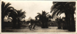 EGYPTE / CAIRO - Le Caire