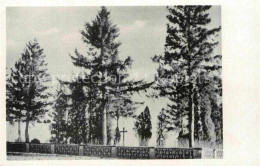 72826450 Kulm Westpreussen Preussischer Friedhof Prusky Hrbitov Kulm Westpreusse - Polen