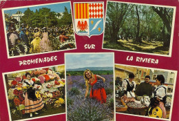 *CPM - Promenades Sur La Riviera - Bataille Fleurs, Champ Oliviers, Marché Fleurs, Cueillette Lavande, Marché Poissons - Costumes